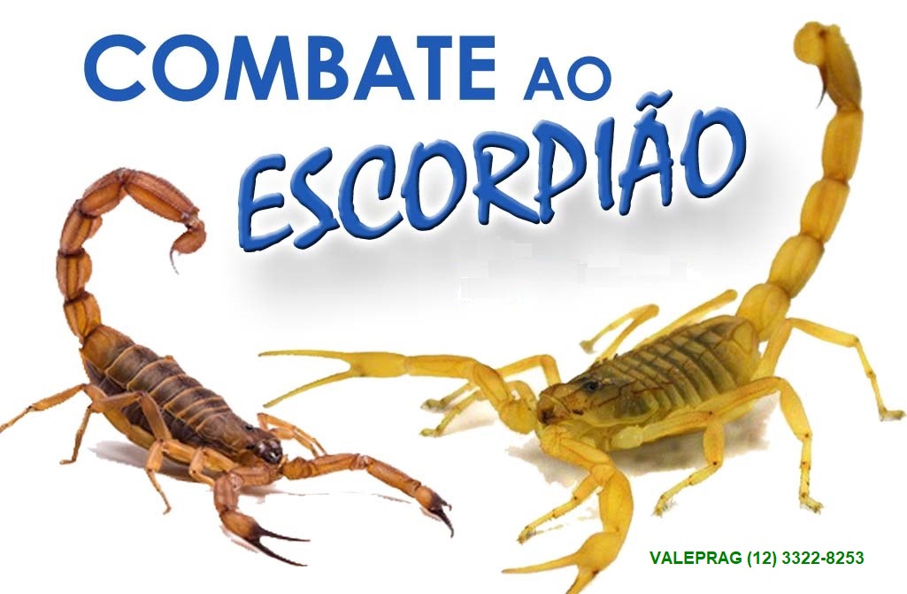 Banner de combate a escorpiões com telefone da Valeprag